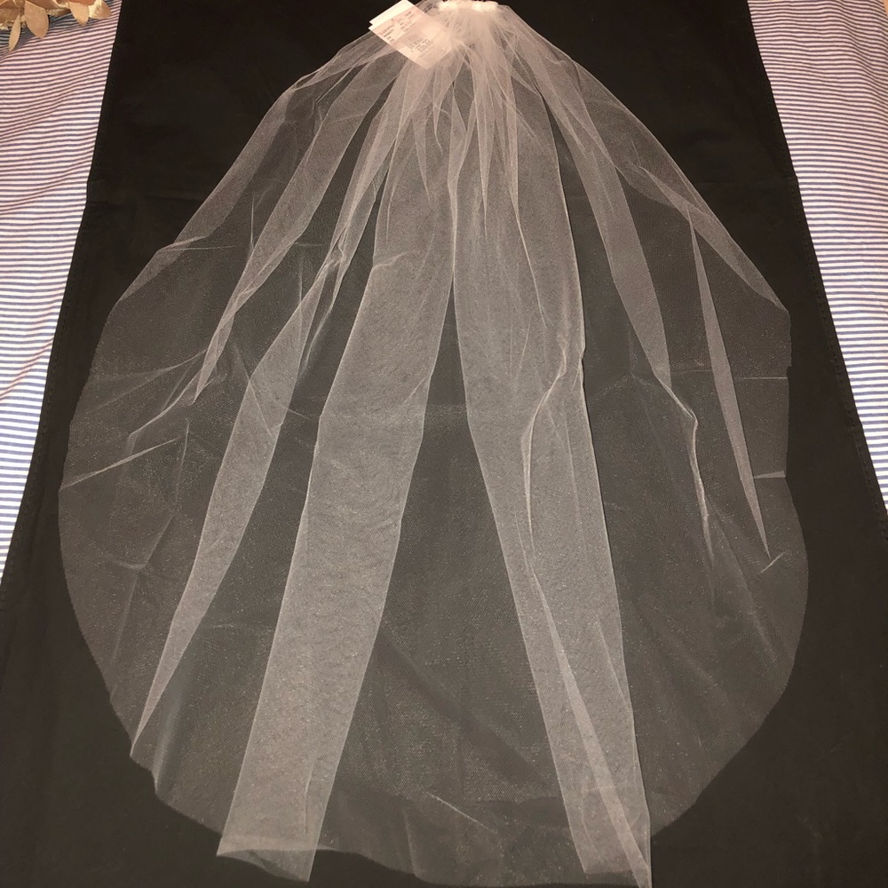 Veil from David’s Bridal